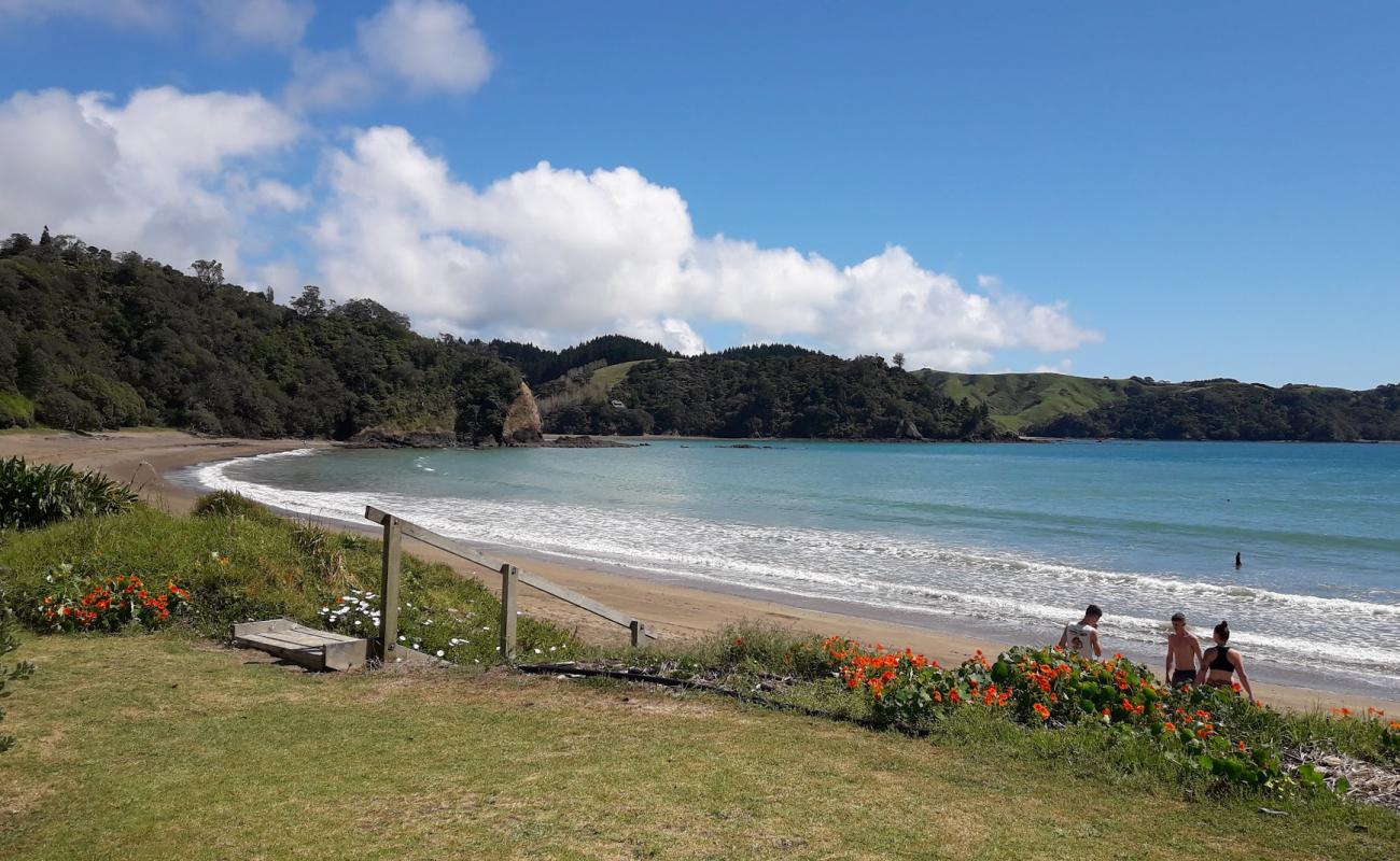 Photo of Helena Bay Beach with bright sand surface