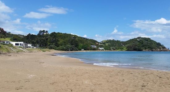 Wellingtons Bay Beach