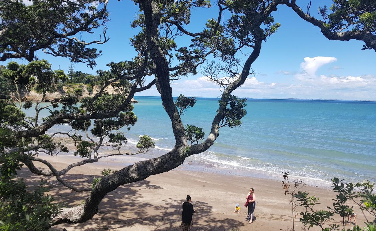 Photo of Little Manly Beach with bright sand surface