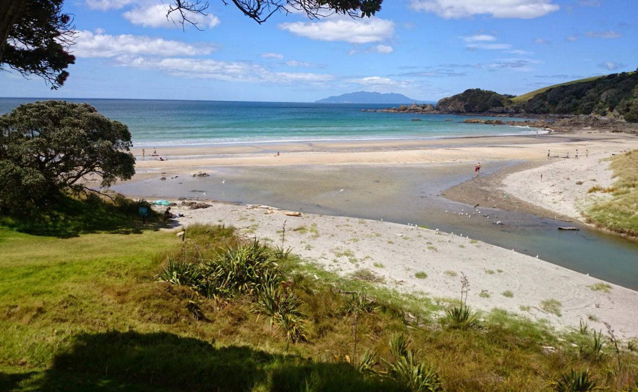 Photo of Waiake Beach with bright sand surface