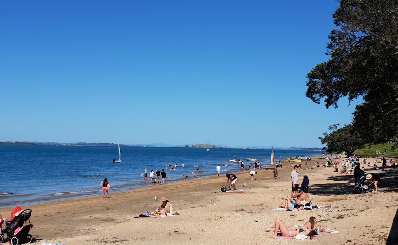 Photo of Narrow Neck Beach with brown sand surface