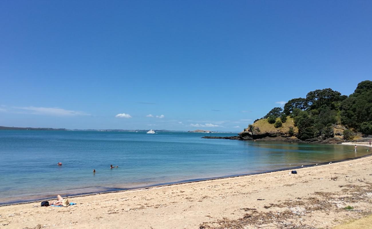 Photo of Cheltenham Beach with bright sand surface