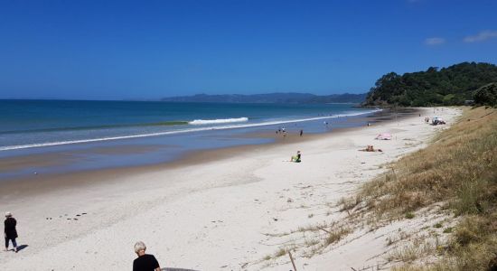 Whangapoua Beach