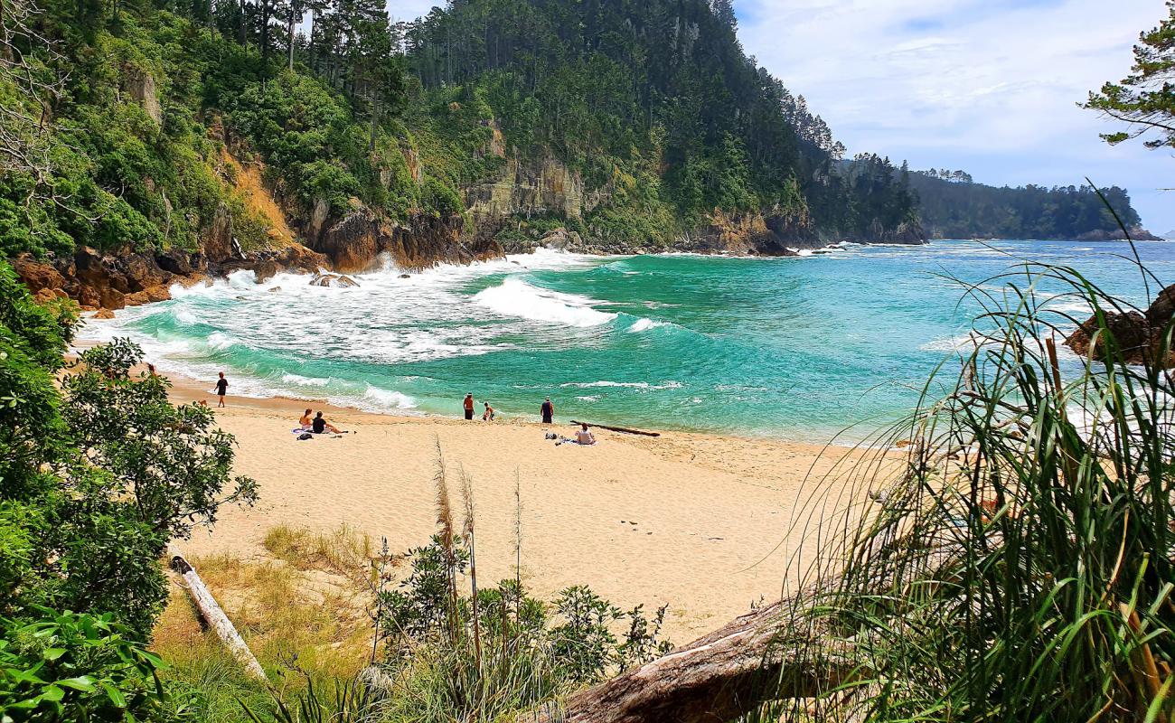 Photo of Pokohino Beach with bright sand surface