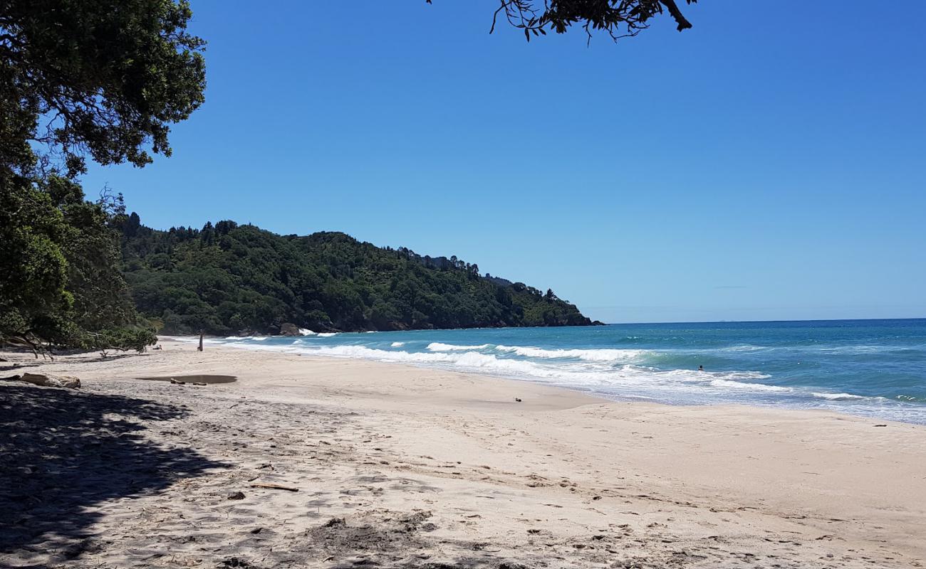 Photo of Orokawa Beach with bright sand surface