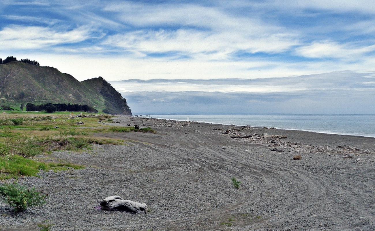 Photo of Torere Beach with gray pebble surface