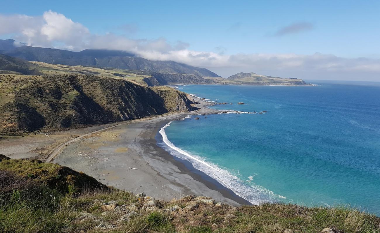 Photo of Pencarrow Head Beach with gray pebble surface