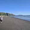 Paekakariki Beach