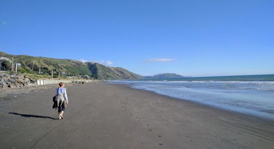 Paekakariki Beach