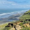 Karioitahi Beach