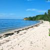 Matakawau Beach