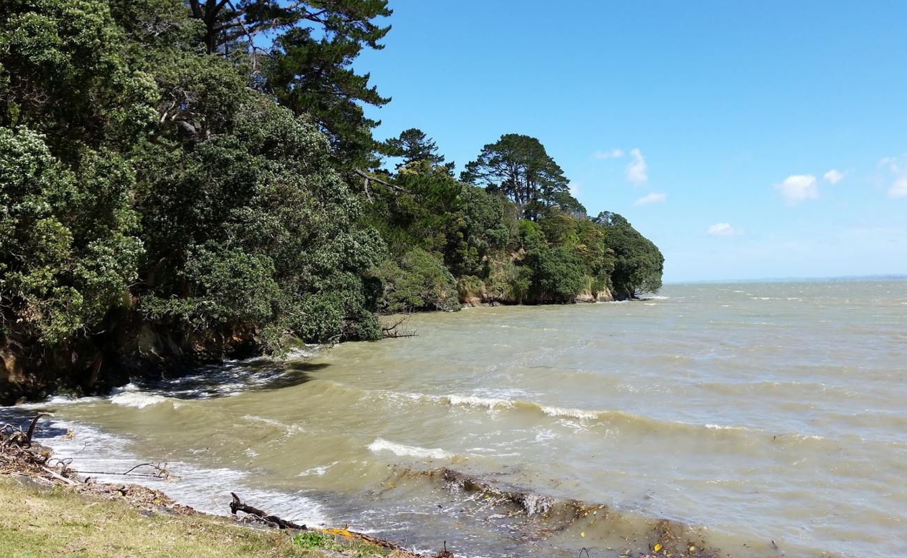 Photo of Manukau Beach with light sand &  pebble surface