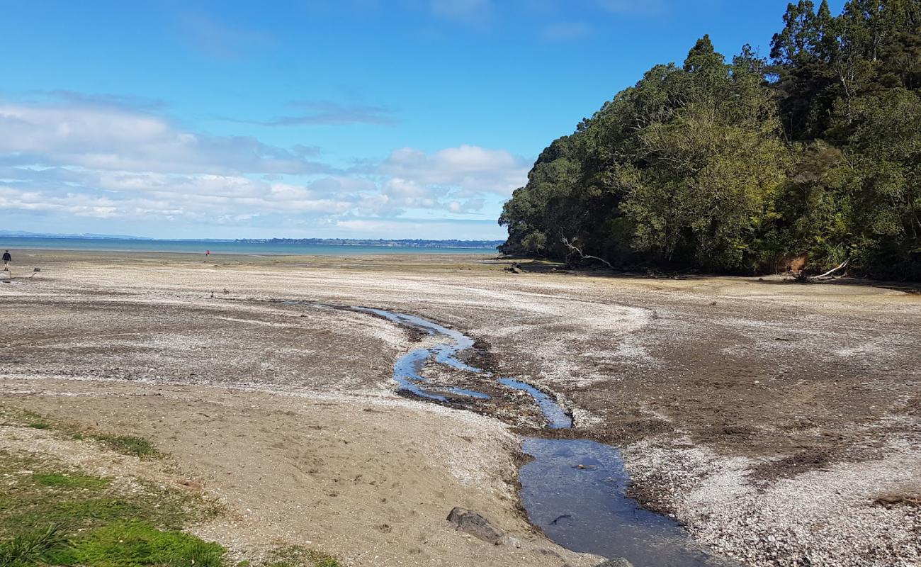 Photo of Titirangi Beach with light sand &  pebble surface