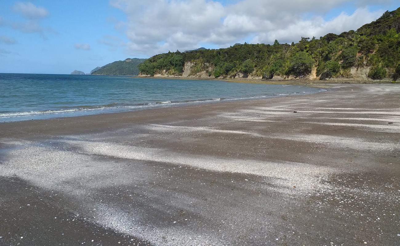 Photo of Kaitarakihi Beach with gray sand surface