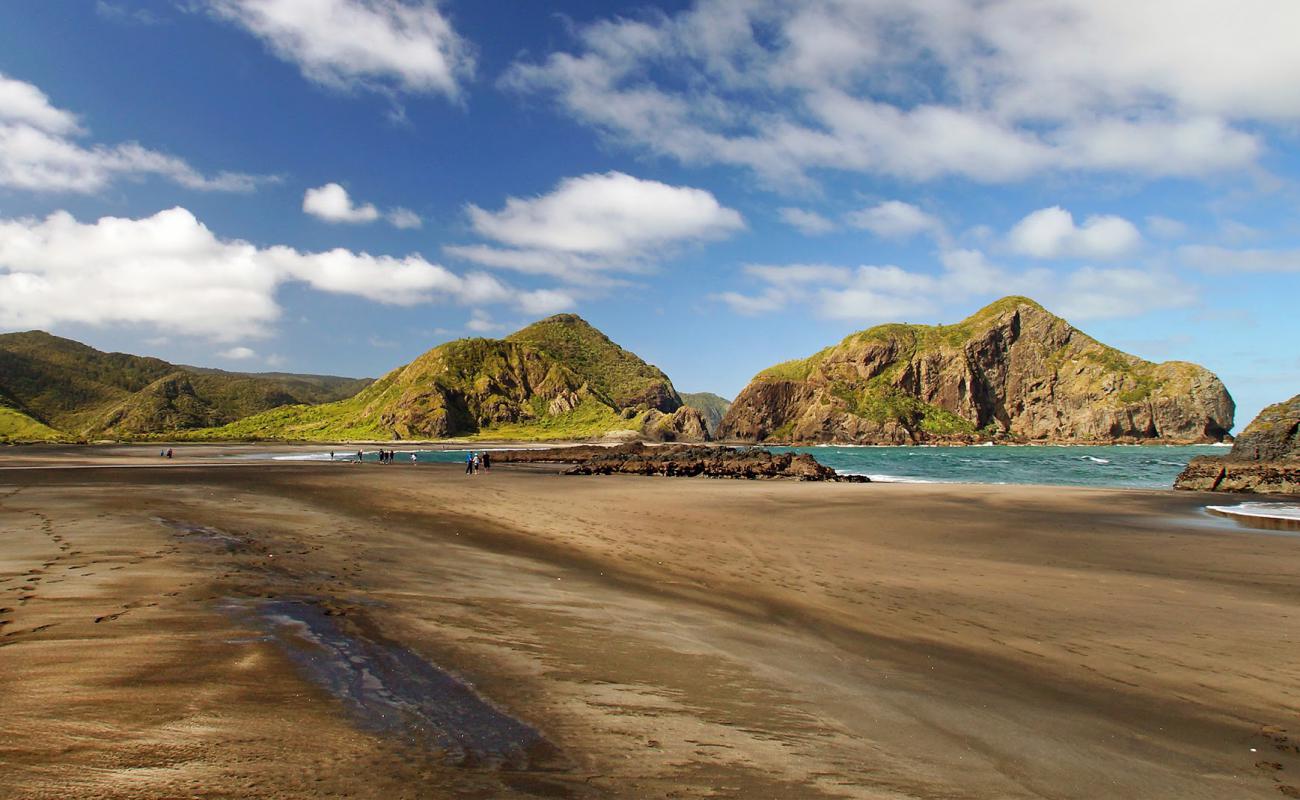 Photo of Whatipu Beach with gray sand surface