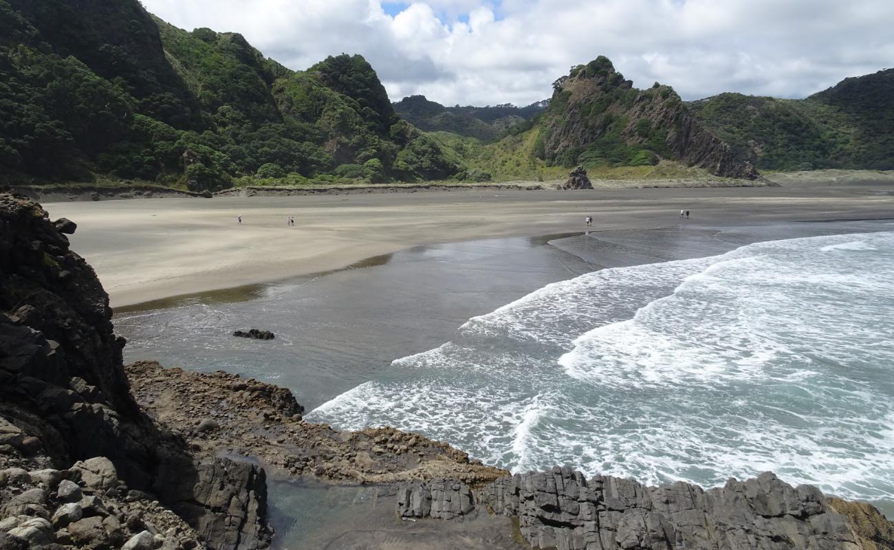 Photo of Karekare Beach with gray sand surface