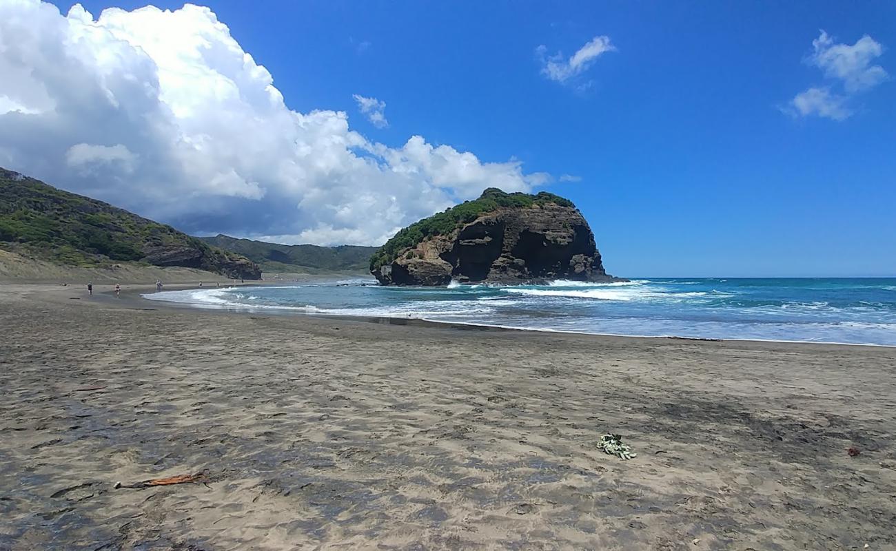 Photo of Te Henga Beach with bright fine sand surface