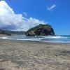 Te Henga Beach