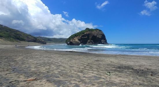 Te Henga Beach