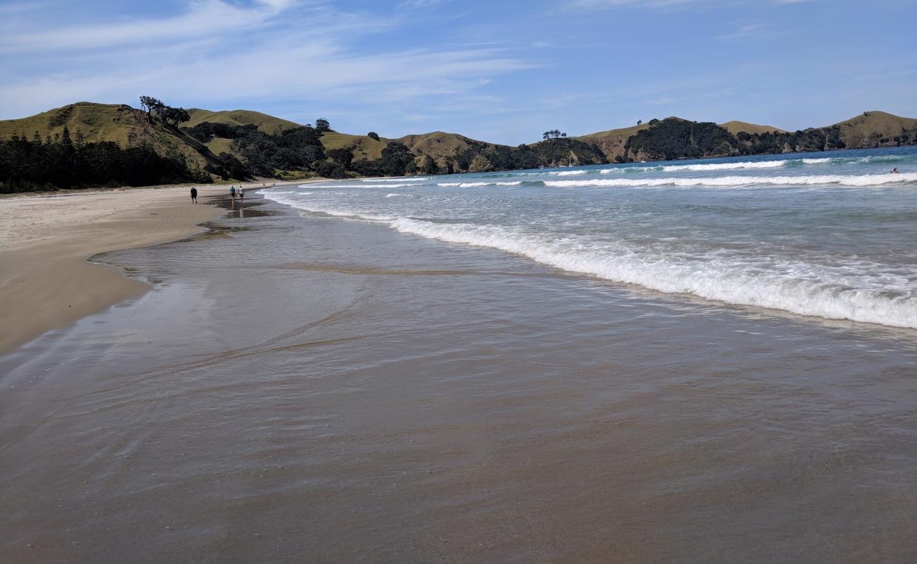 Photo of Whangapoua Bay with bright sand surface