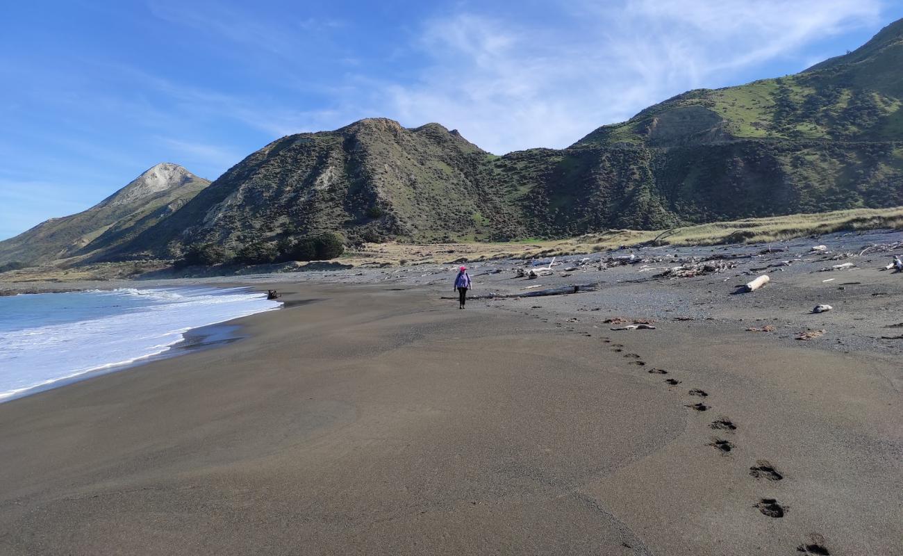 Photo of Ward Beach with gray fine pebble surface