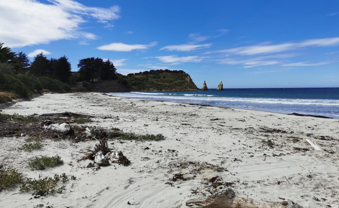 Photo of Karitane Beach with bright sand surface