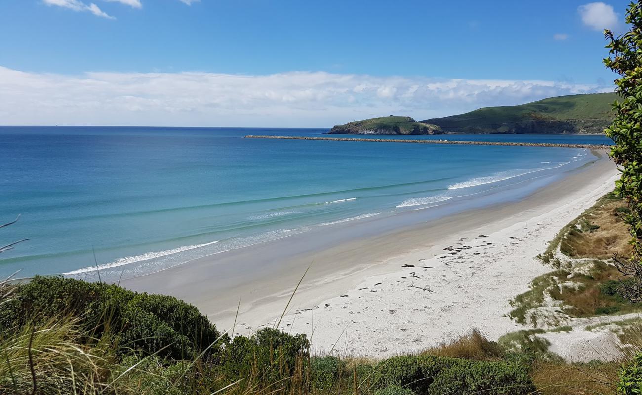 Photo of Aramoana Beach with bright sand surface