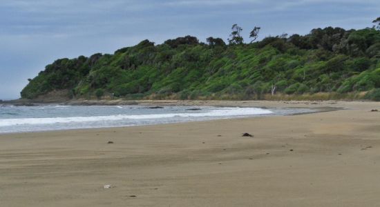 Tahakopa Beach