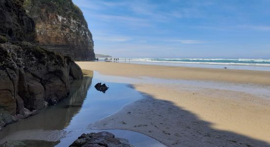 Waipati Beach