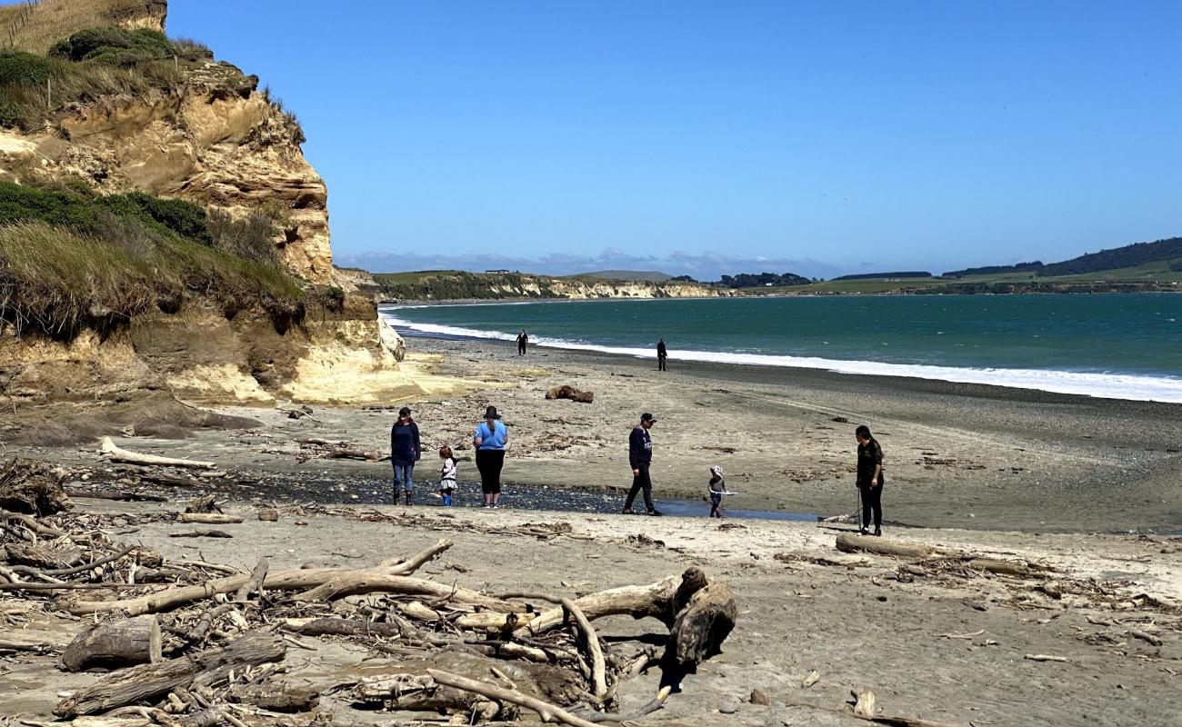 Photo of Gemstone Beach with light pebble surface