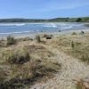 Tauranga Beach