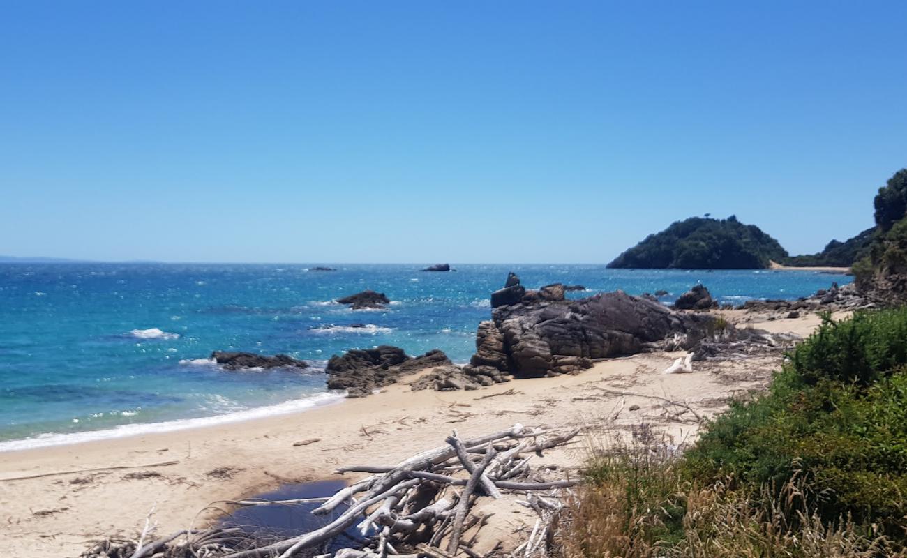 Photo of Golden Bay Beach with bright sand surface