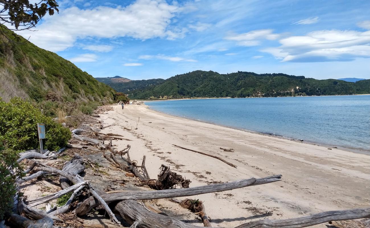 Photo of Wainui Beach with bright sand surface