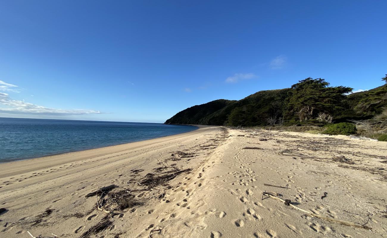 Photo of Whariwharangi Beach with bright sand surface