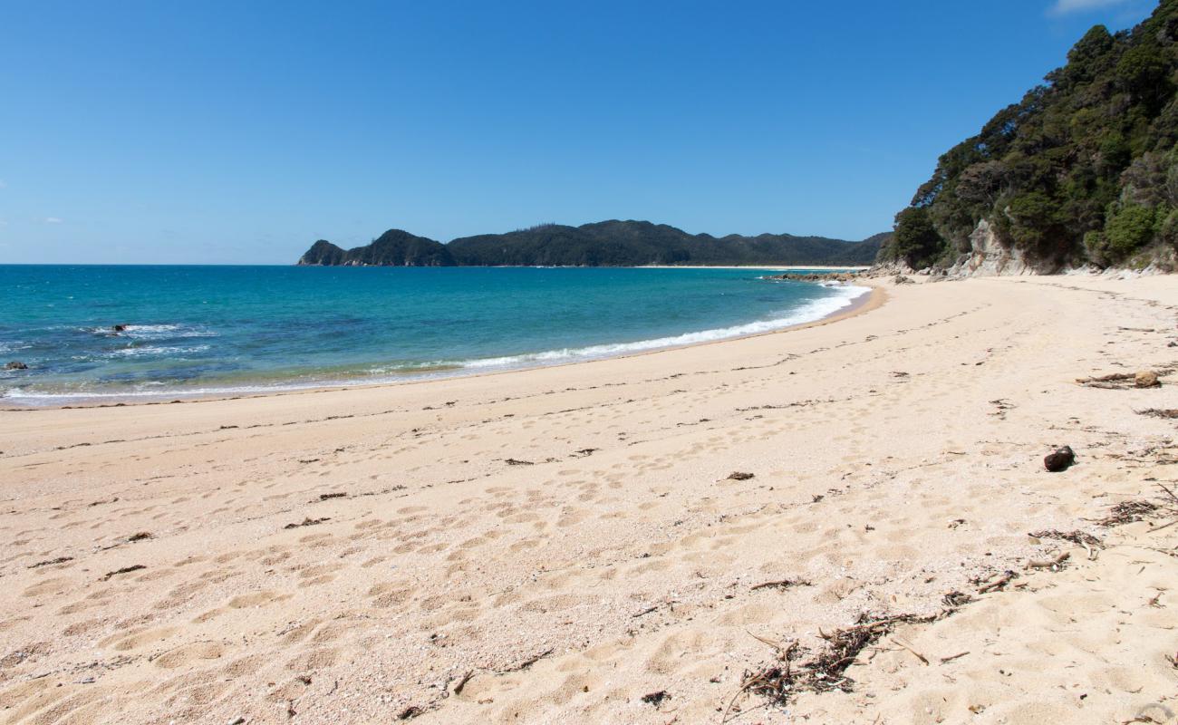 Photo of Waiharakeke Bay Beach with bright fine sand surface