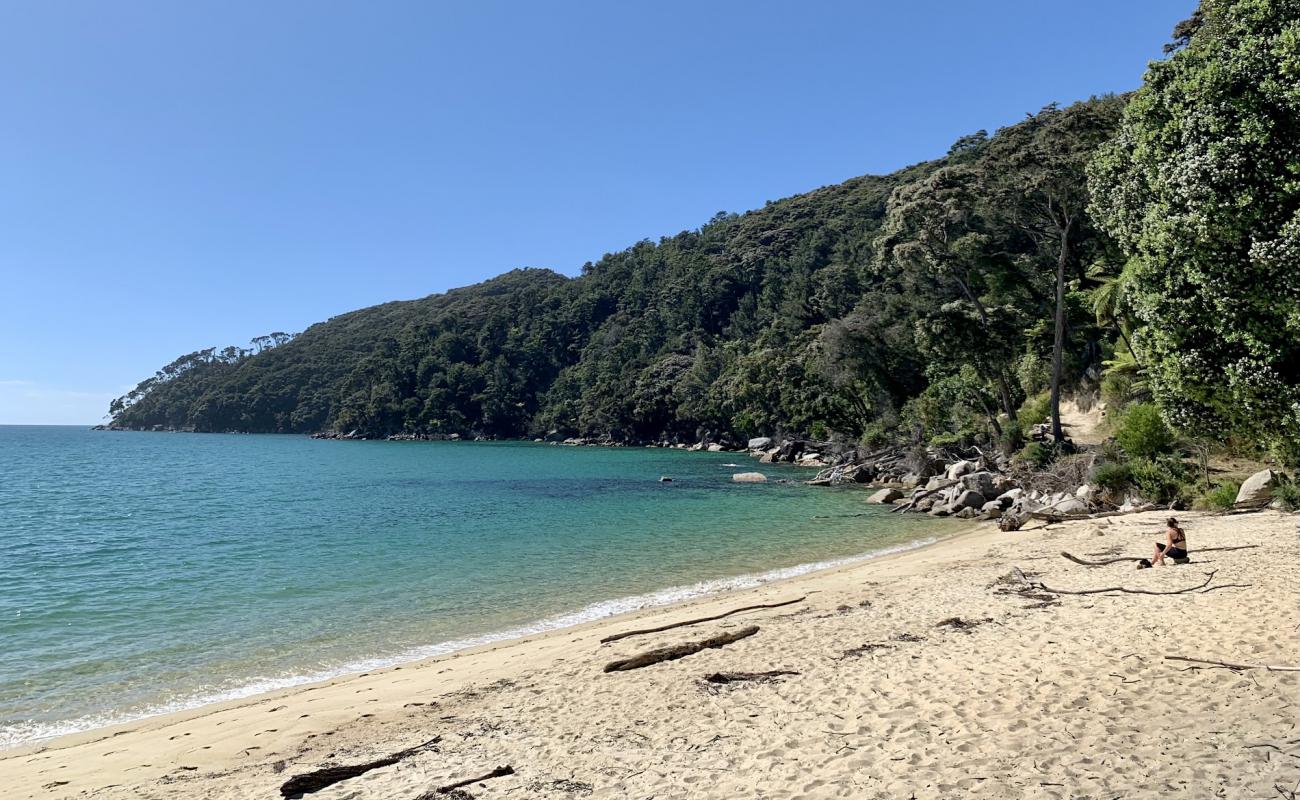 Photo of Bark Bay Beach with bright fine sand surface