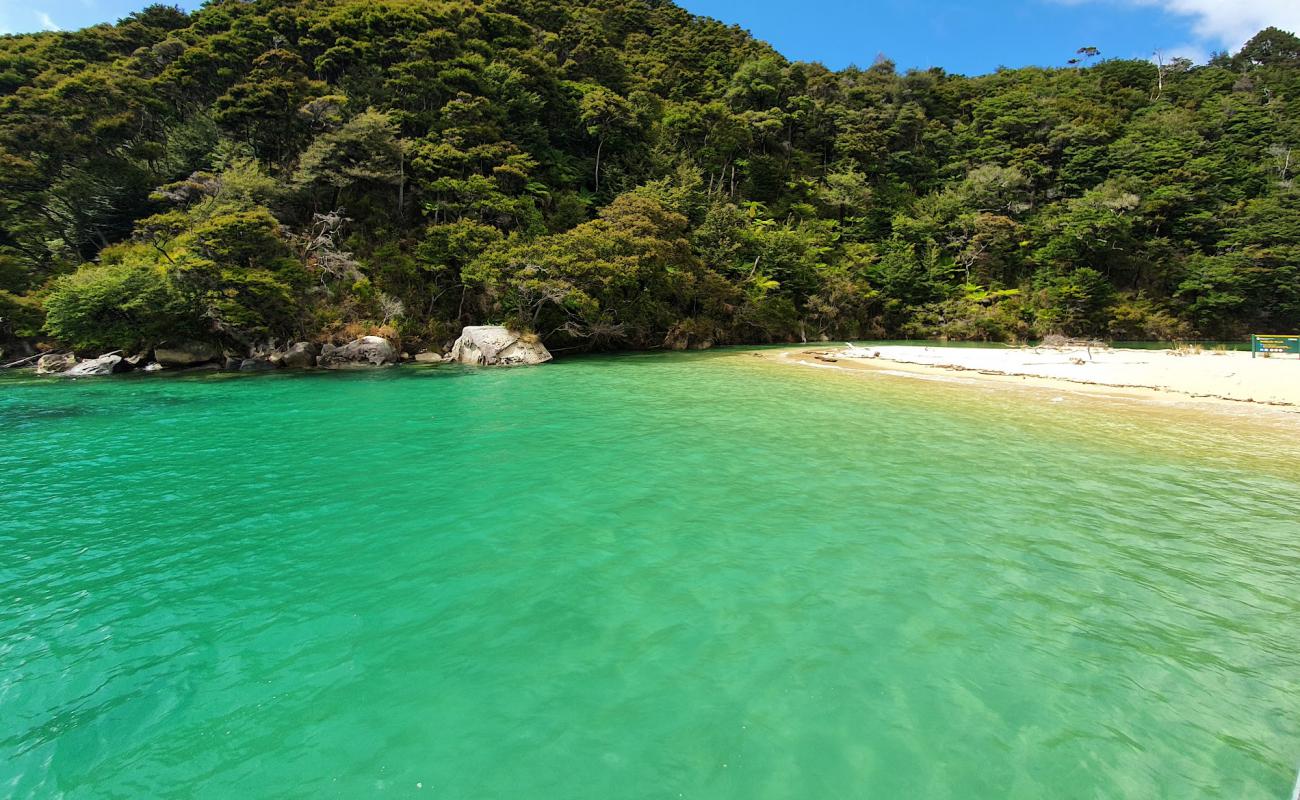 Photo of Medlands Beach with bright fine sand surface