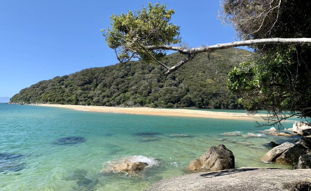 Photo of Falls River Beach with bright fine sand surface