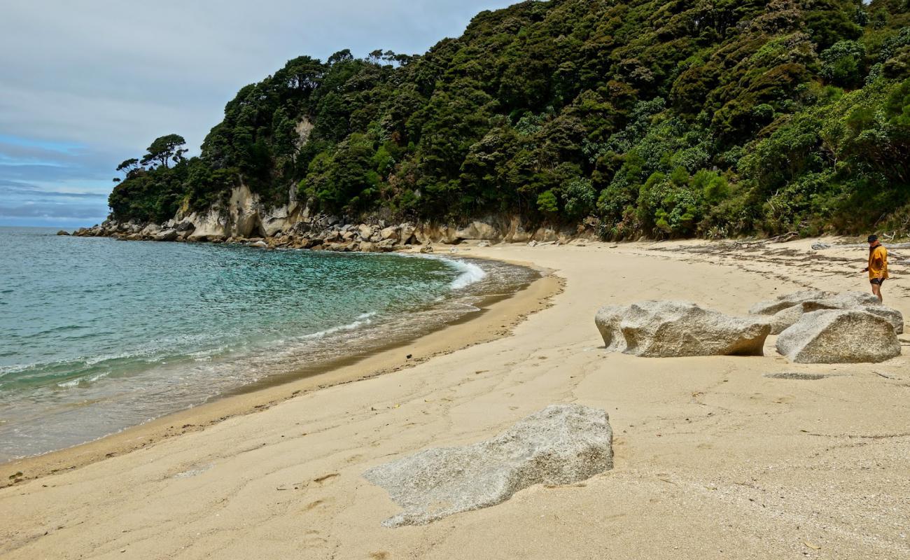 Photo of Torrent Bay Beach I with bright fine sand surface