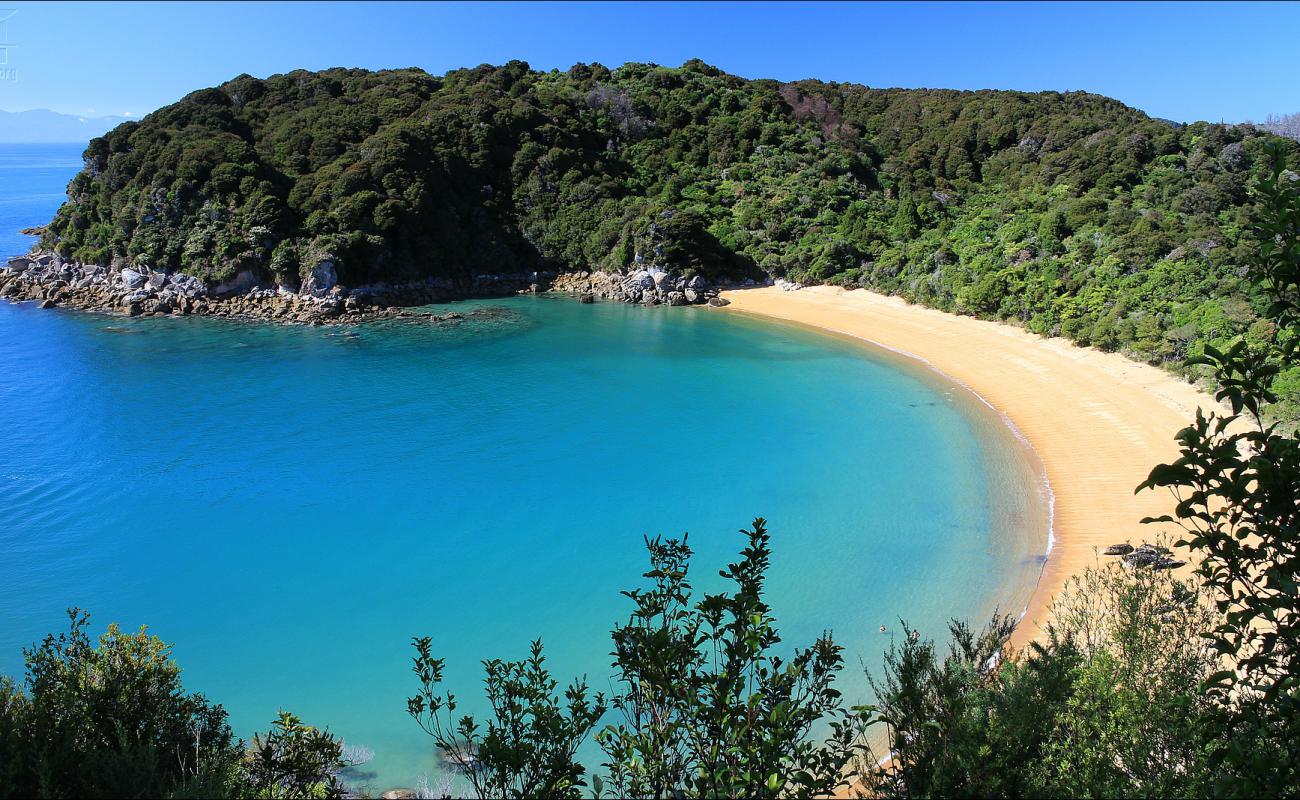 Photo of Te Pukatea Beach with bright fine sand surface