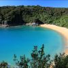 Te Pukatea Beach