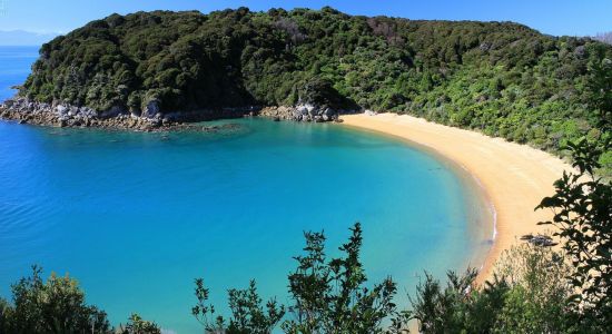 Te Pukatea Beach