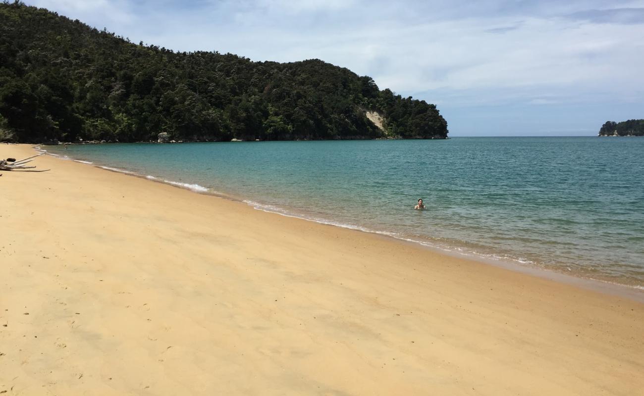 Photo of Coquille Bay Beach with bright sand surface