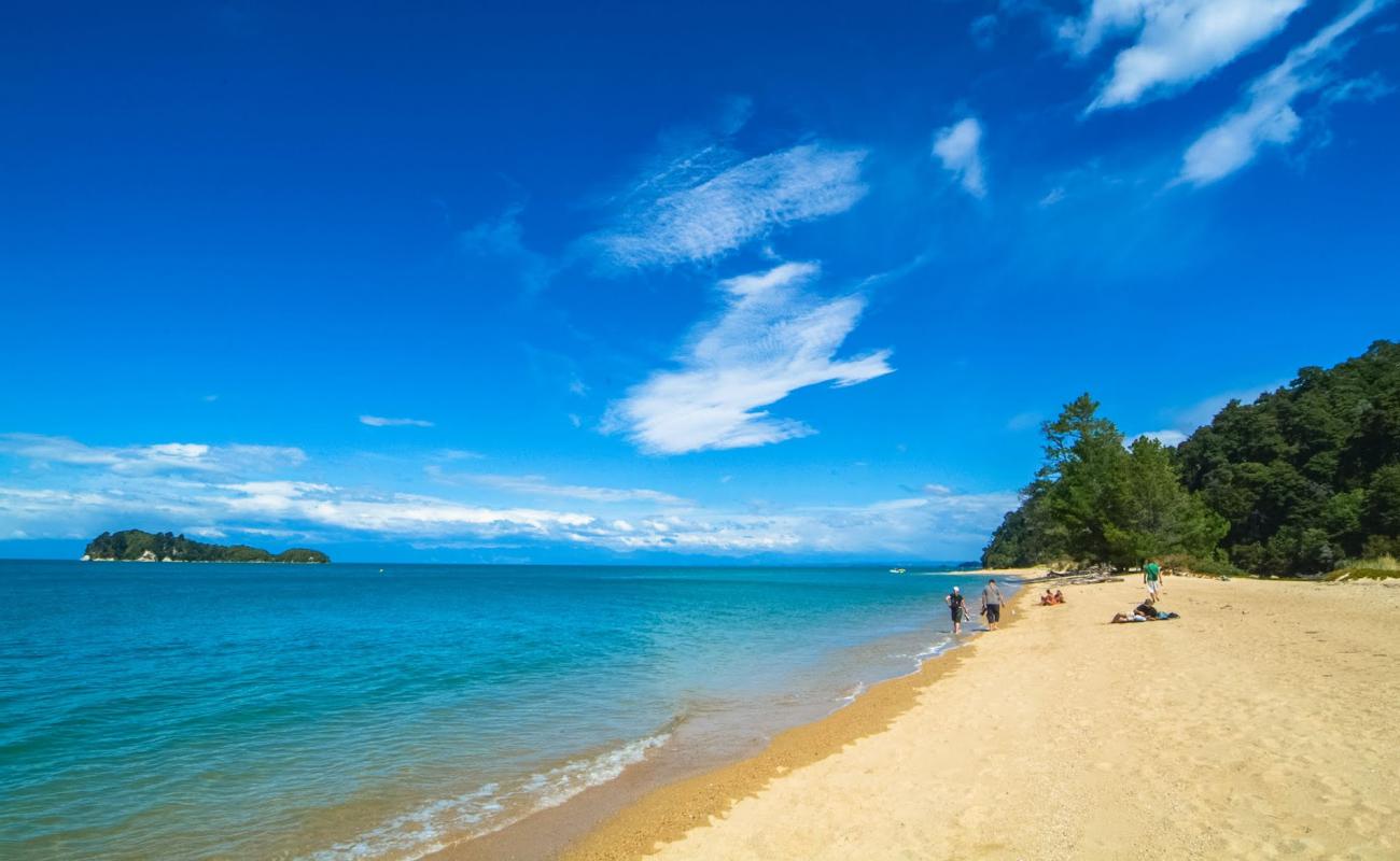 Ngaio Bay Beach 🏖️ Kaiteriteri, South island, New Zealand - detailed ...