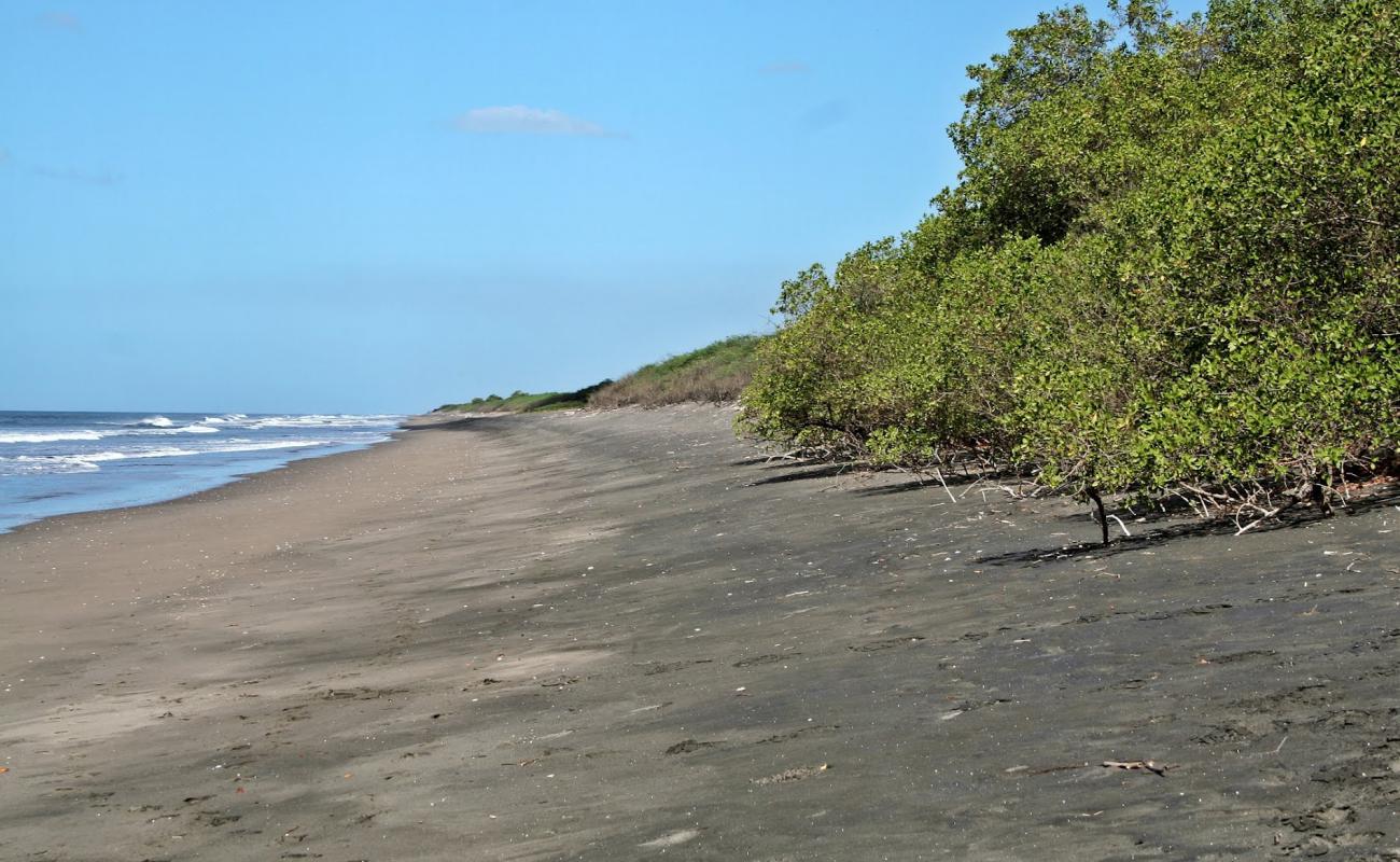 Photo of Reserva Natural beach with gray sand surface