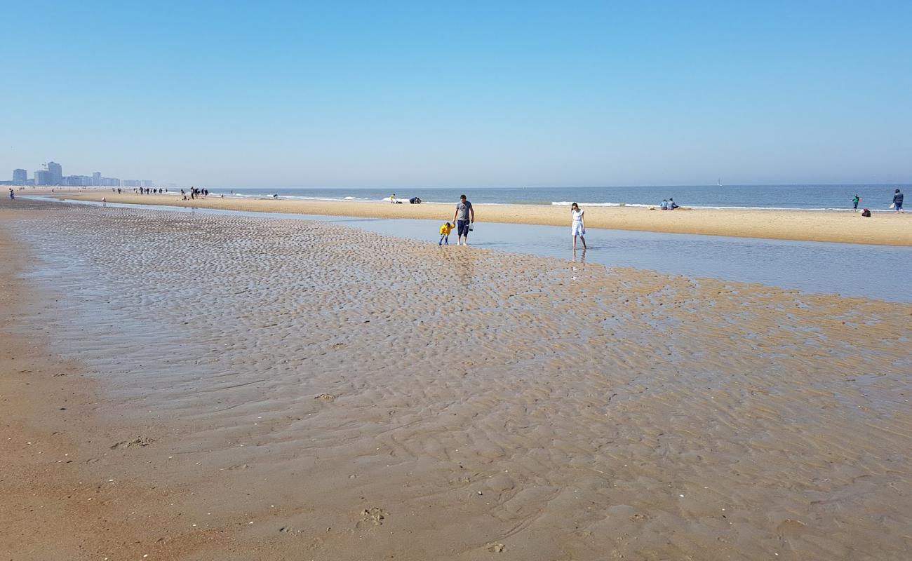 Photo of Ostend Beach with bright sand surface