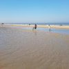 Ostend Beach