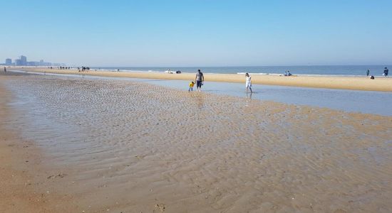 Ostend Beach