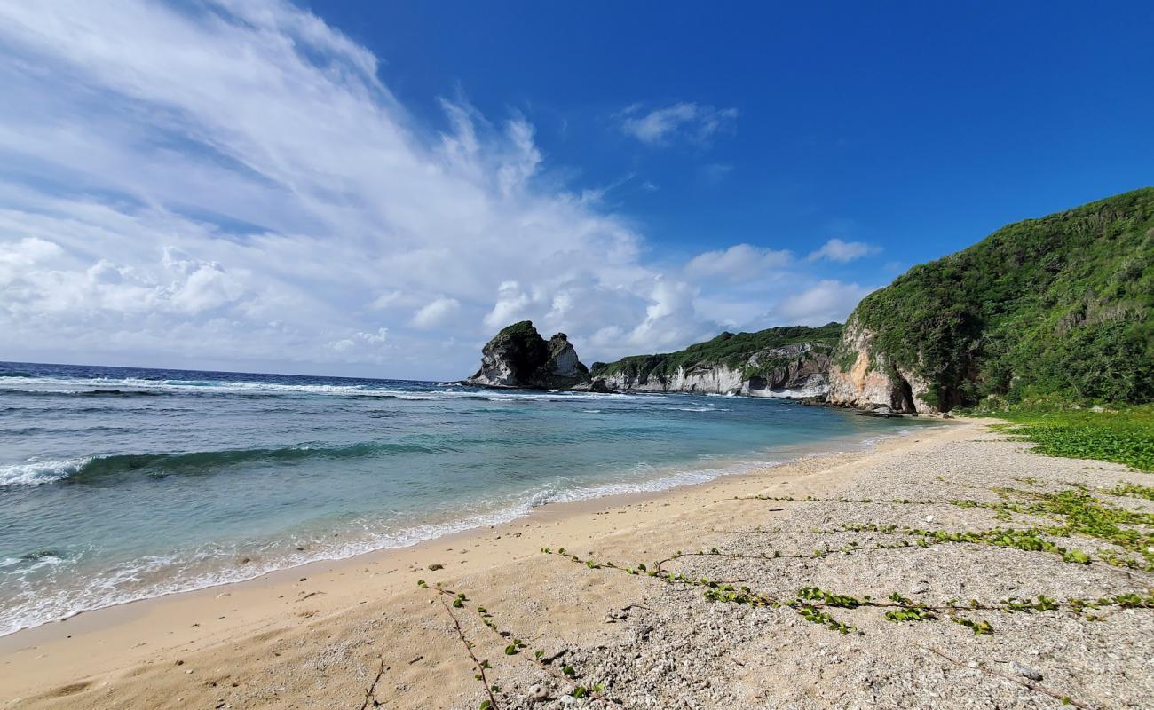 Photo of Bird Island Beach with light sand &  pebble surface