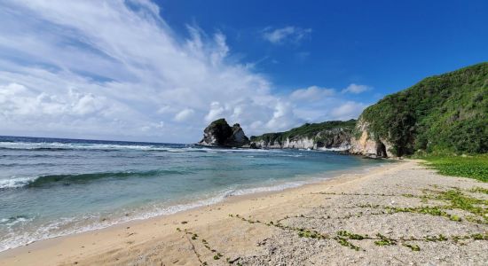 Bird Island Beach